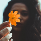 Pariul credinței în selecția naturală