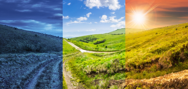 Ce moment al zilei preferi?