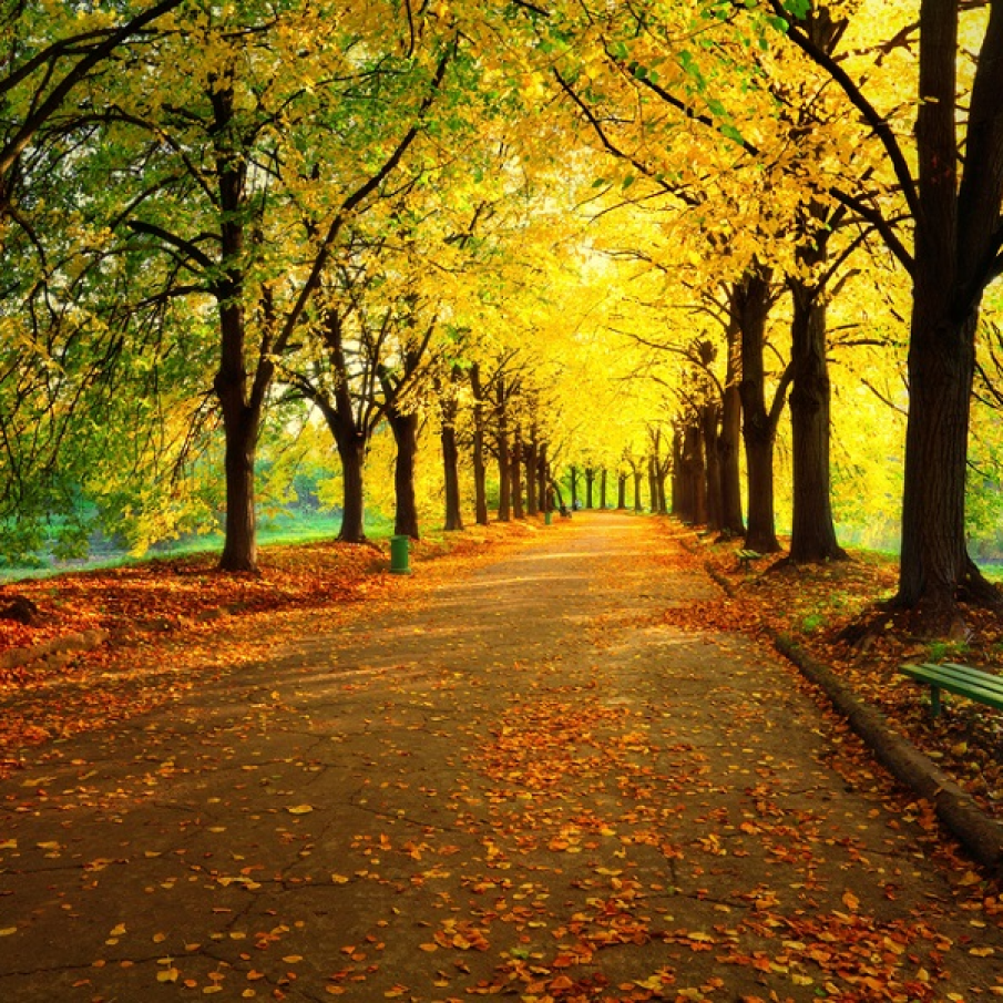 Lumina de la capatul tunelului 