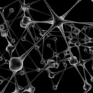 6 Pasi pentru sanatatea creierului