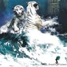 Menajeria lui Jamrach, omagiul literar adus rasei umane