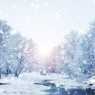 Imagini de poveste care surprind ataaat de bine atmosfera magica a iernii!