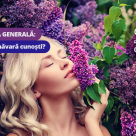 Test de cultura generala: Cate flori de primavara cunosti? 
