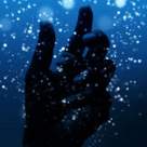 Herta Mller. Nobel. Romania. 