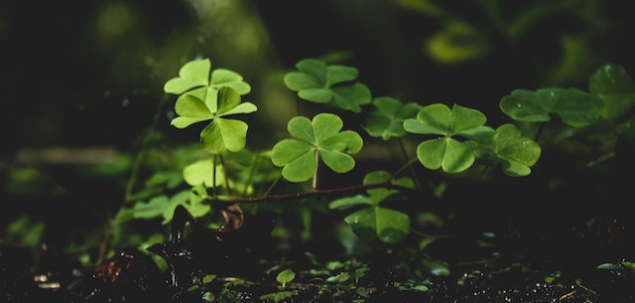 De obicei consideri ca esti un om norocos?