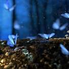 10 lucruri pe care sa le faci in viata si care te vor schimba pentru totdeauna