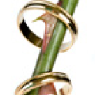 Casnicie de dragul lor