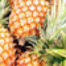 Tort de fructe PATRICIA