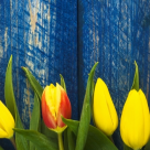 BUNAVESTIRE: 15 obiceiuri si traditii de respectat pentru a-ti merge bine tot anul!