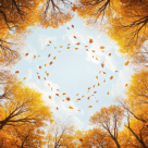 Horoscop săptămânal: Care este ziua ta norocoasă în funcție de zodie în săptămâna 13-19 octombrie 2025?