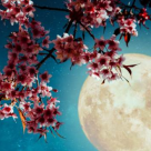 Luna plină în Fecioară de pe 9 martie - un cerc de frică, speranță și credință