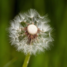 Nu-ți pierde speranța! În curând vei simți cea mai mare bucurie de până acum