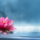 Ascult-o: Aceasta Mantra te va ajuta sa iti recapeti puterea personala si sa iti cresti vibratia