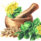 Rhodiola rosea: alungă oboseala și restabilește echilibrul hormonal