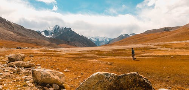 Care dintre urmatoarele activitati te relaxeaza cel mai mult in timpul verii?