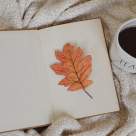 Vrei seri speciale cu prietenii? Începe cu această carte și un shaker