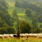 Wall-Street: Tanarul care a renuntat la visul american pentru viata de fermier in Romania 