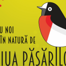 Marea Reîntâlnire: Ziua Păsărilor se întoarce în aer liber