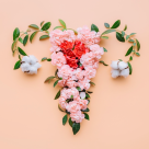 Hormonul anti-Mullerian – cand se testeaza si ce rol are?