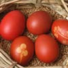 Vopsirea oualor de Paste