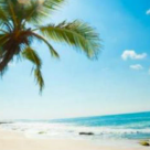 Wall-Street: TOP 2015: cele mai frumoase plaje din lume 