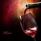 Mircea Cartarescu, Dan C. Mihailescu si Radu Paraschivescu, degustatori de vin!