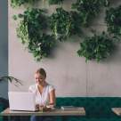 4 idei de afaceri verzi cu potențial de creștere, când ești antreprenoare la început de drum