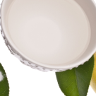 Combinatia Tamaduitoare Miraculoasa: Lamaie + Bicarbonat de Sodiu