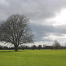 Locuri superbe de vizitat cu cei mici în Dublin, Irlanda, cunoscută ca Insula de Smarald