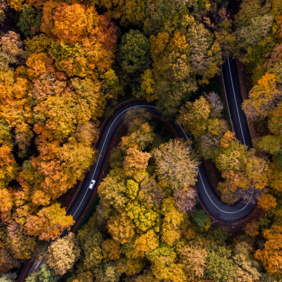 Vedere aeriana surprinsa deasupra padurilor Serbiei 