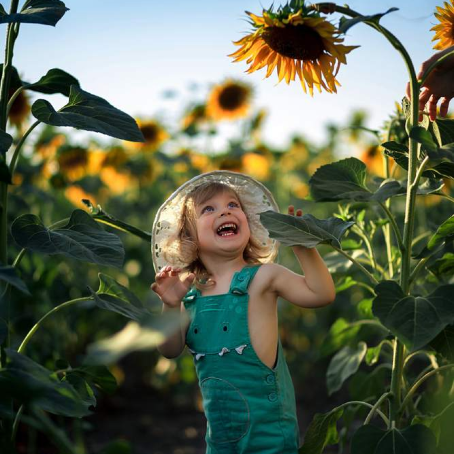 Ce spui, înălțimea ta?