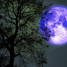 Luna plină albastră din Pești de pe 31 august este a doua lună plină a lui august și are o energie specială! Eliberăm, vindecăm și ne echilibrăm. Primim semne divine!  