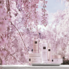  RITUALS COSMETICS DESCHIDE UNUL DINTRE CELE MAI MARI MAGAZINE ALE SALE ÎN AFI COTROCENI