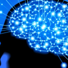 19 exercitii extraordinare pentru creier si memorie de la un neurobiolog si un expert in geriatrie