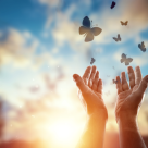 Cine ți-a rupt sufletul în două nu va putea niciodată să fie și cel care te salvează!