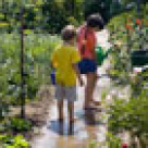 Pericolele din gradina dumneavoastra