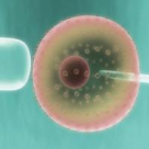 Stem SURE a devenit cea mai premiata companie de celule stem din Romania