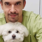  Sterilizarea la caini si pisici, recomandată de medicii veterinari