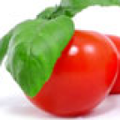 Rosiile, elixir al sanatatii