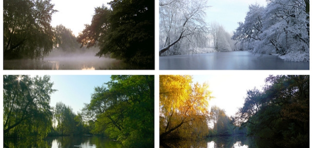 In ce anotimp te-ai nascut?