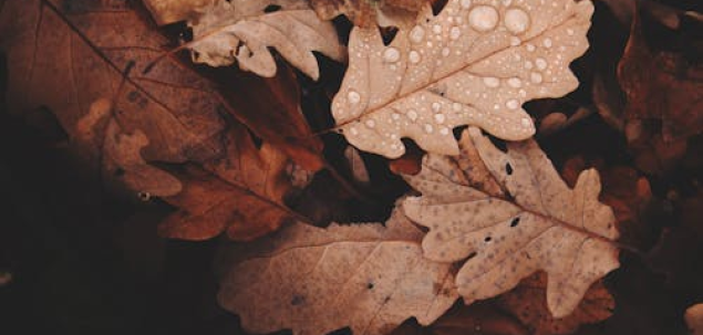 Ce simți că îți lipsește acum?