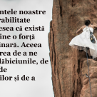 Cum sa trezim Eroul interior: 10 citate esentiale despre a invinge frica