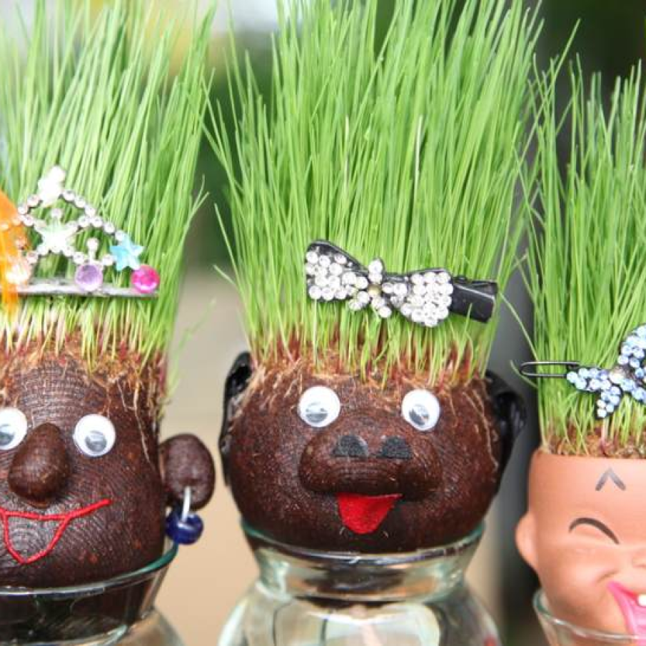 Frumuseti cu fundite si coronite 