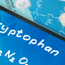  ELEMENTUL FERICIRII - Top 10 alimente sanatoase care contin TRIPTOFAN 