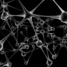 7 curiozitati exceptionale despre creierul uman 