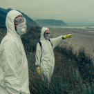 Risc de holeră în Marea Neagră. A fost interzis accesul oamenilor pe plajă