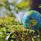 Jane Goodall, femeia de știință care mă inspiră: 10 citate puternice despre ecologie și potențialul spiritului uman