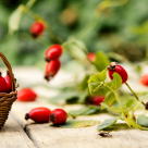 Măceșele: beneficii pentru sănătate