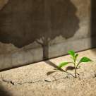 Când lumea va încerca să te schimbe, nu uita de tine! 