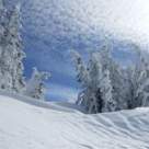 Cel mai frumos elogiu inchinat iernii: 14 melodii superbe despre zapada